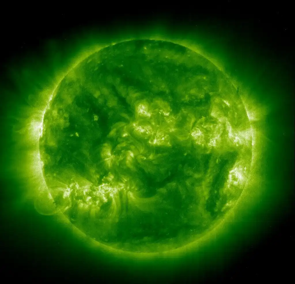 قیمت گوهر شب چراغ زیرخاکی